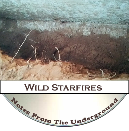 Notes From The Underground